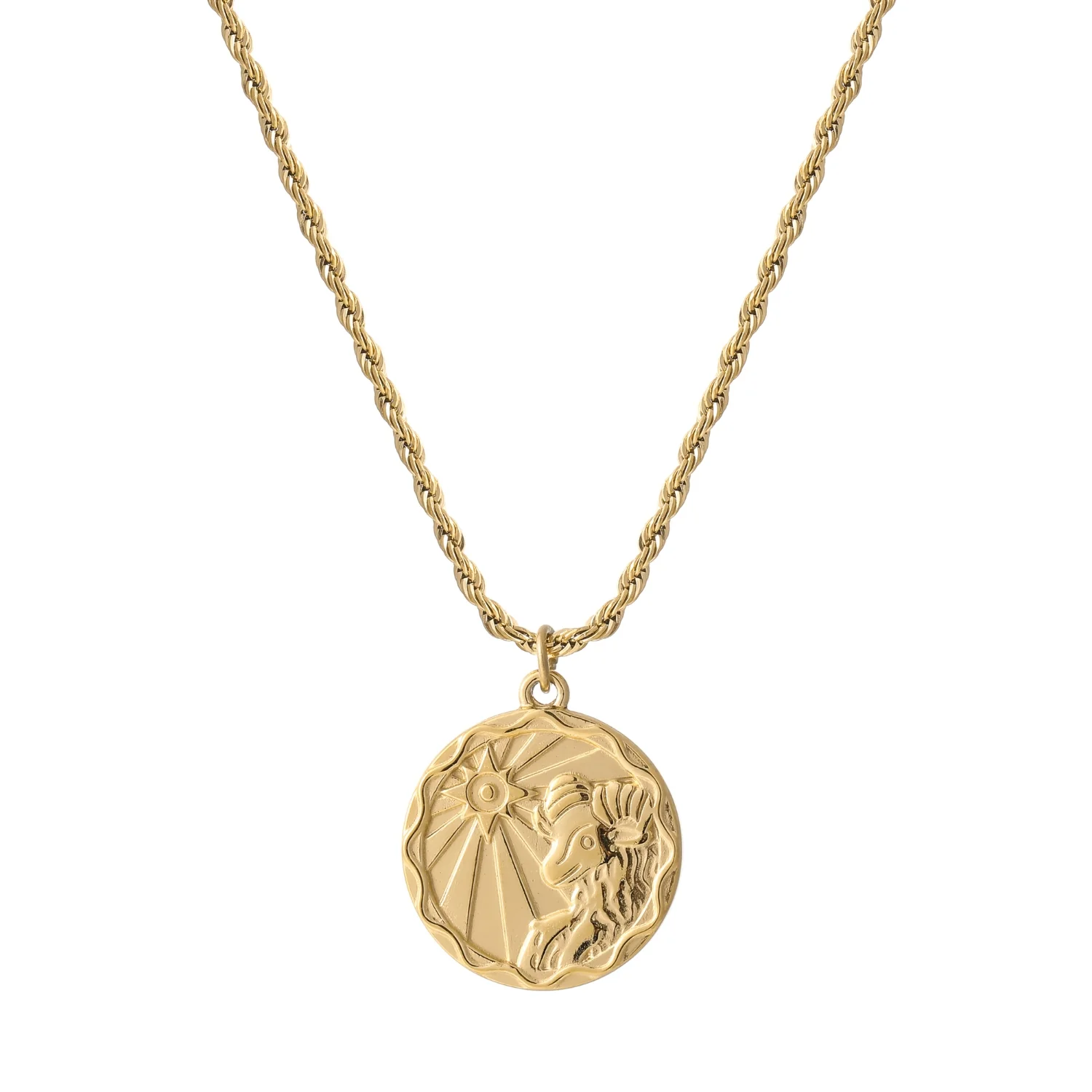 Zodiac Coin Necklace w/ Rope Chain - Image 8