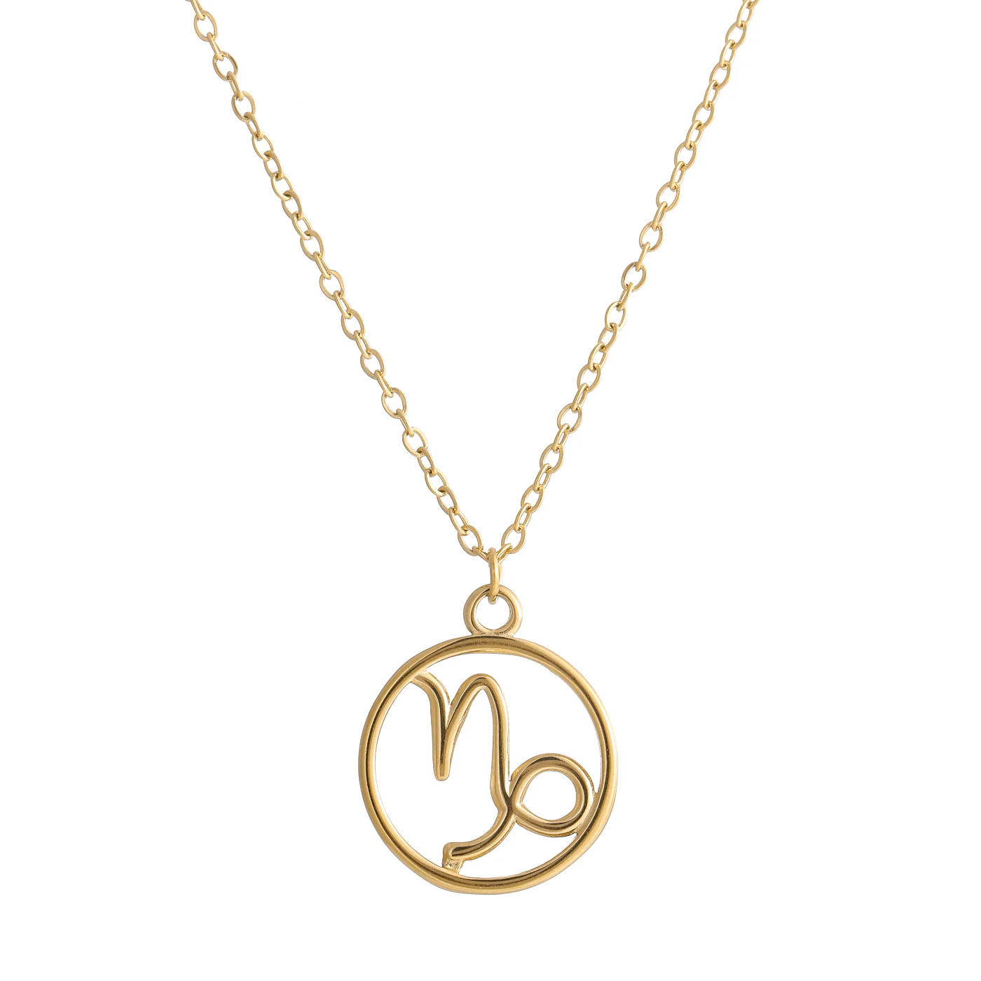 Zodiac Sign Pendant Necklace - Image 15